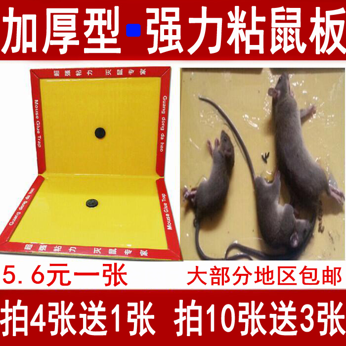 粘老鼠达豪强力粘鼠板厚硬粘鼠胶老鼠贴灭老鼠家用驱捕捉鼠器驱除